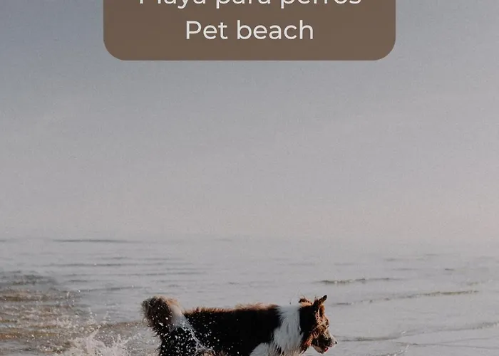 Pineapple Sorbet Piscina, Doble Terraza, Cocina Completa Y Wifi Apartman Corralejo