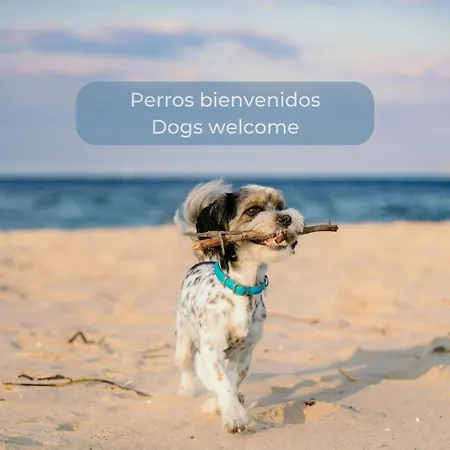 Pineapple Sorbet Piscina, Doble Terraza, Cocina Completa Y Wifi Corralejo