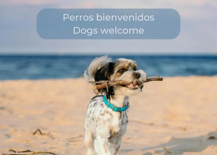 Pineapple Sorbet Piscina, Doble Terraza, Cocina Completa Y Wifi Corralejo