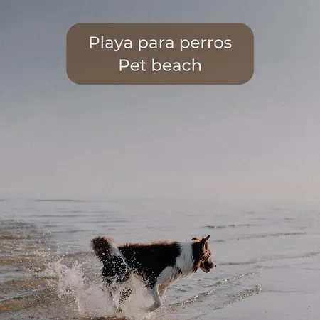 Pineapple Sorbet Piscina, Doble Terraza, Cocina Completa Y Wifi 아파트 코라레호